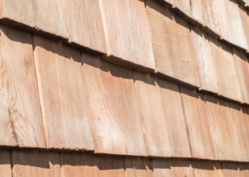 Shake Siding Installation in Spring City, TN