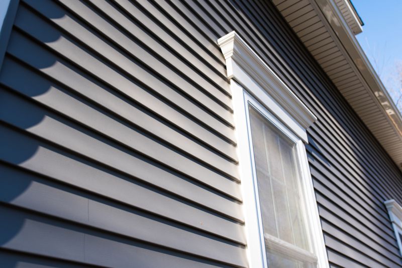 Vinyl Cladding Installation in Rhea County, TN